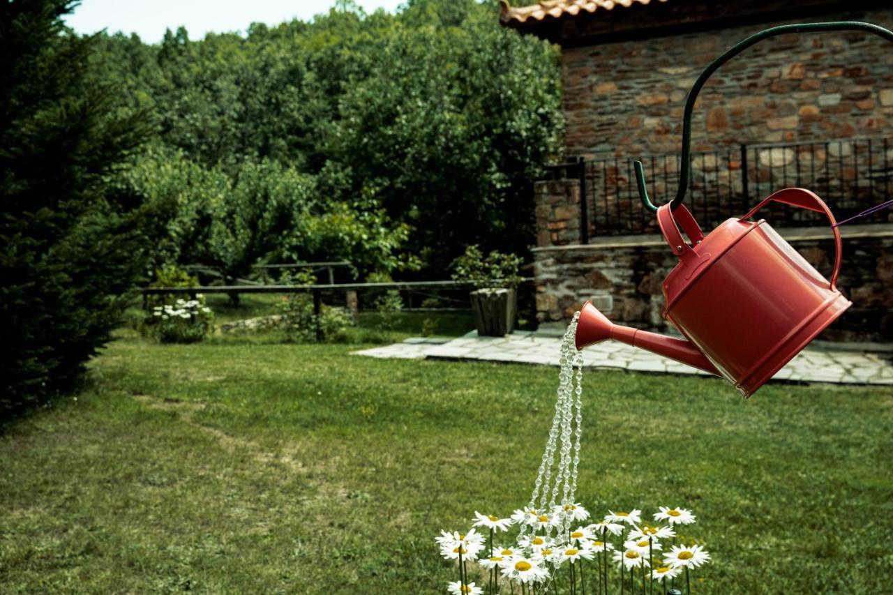 Guesthouse Rodamos Taxiarkhis  Zewnętrze zdjęcie